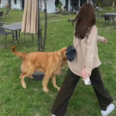 蕯哈拉妖姬